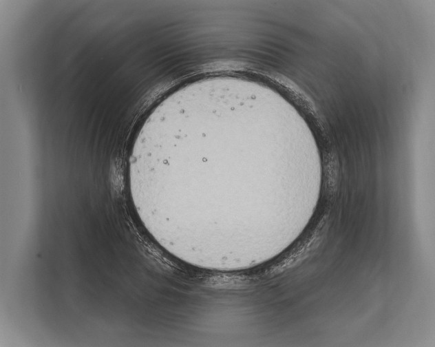 X0000112180929200909181430