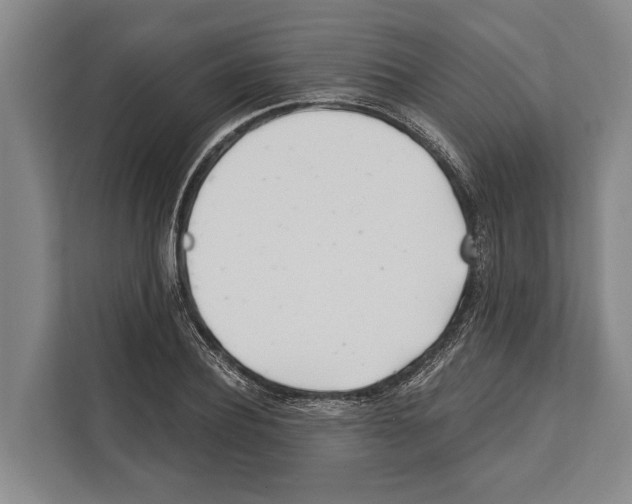 X0000112180932200909181431
