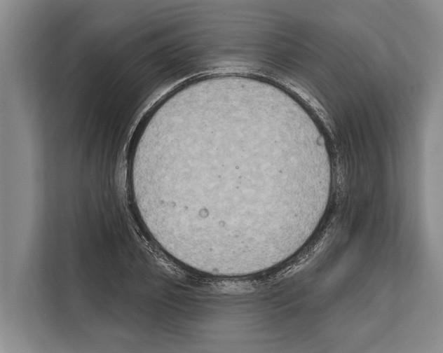 X0000112180933200909181431