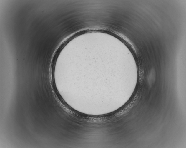 X0000112180935200909181431