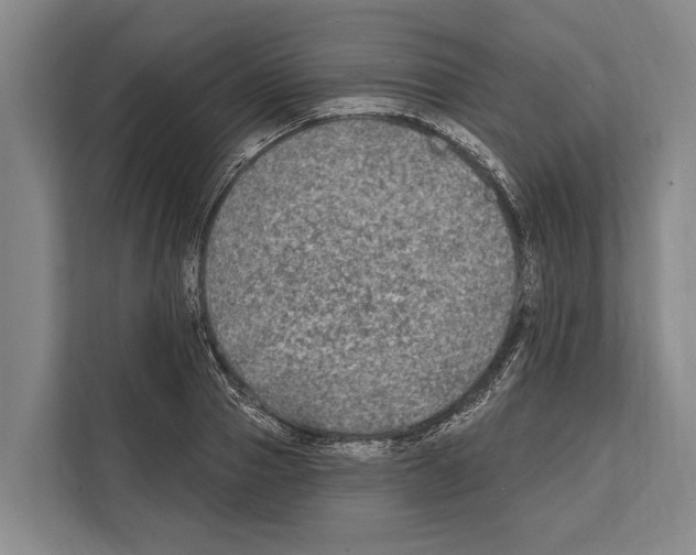 X0000112180937200909181431