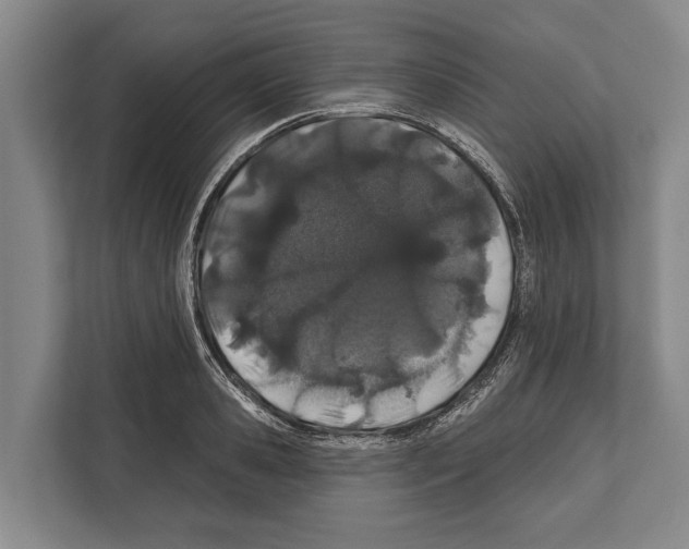 X0000112180941200909181431