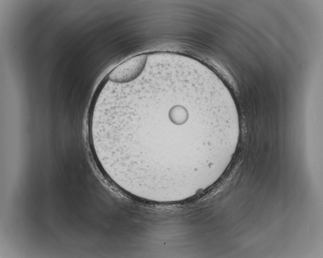X0000112180944200909181431