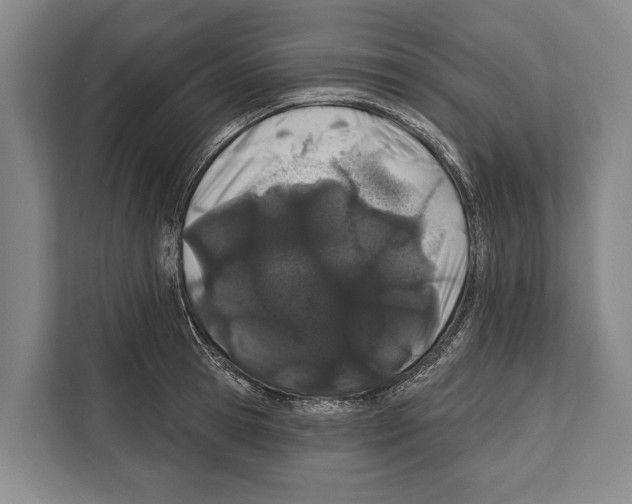 X0000112180945200909181431