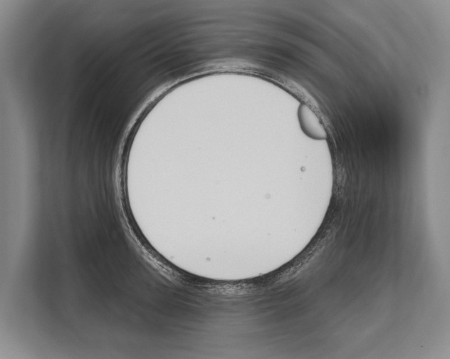 X0000112180947200909181431
