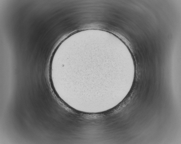X0000112180949200909181431