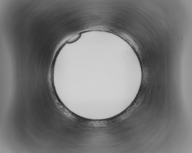 X0000112180952200909181431