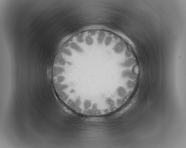 X0000112180953200909181431