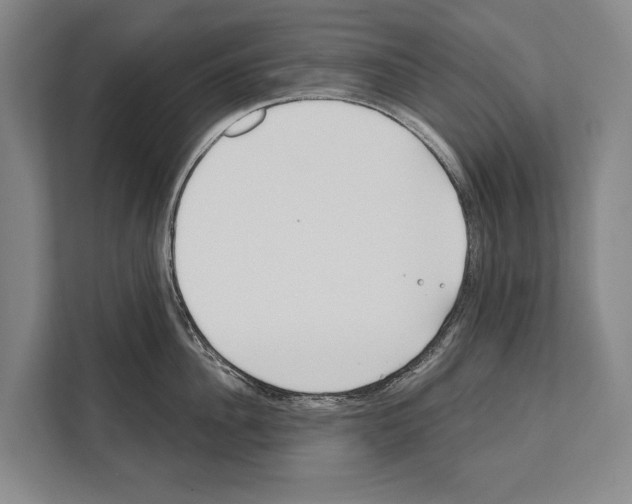 X0000112180956200909181431