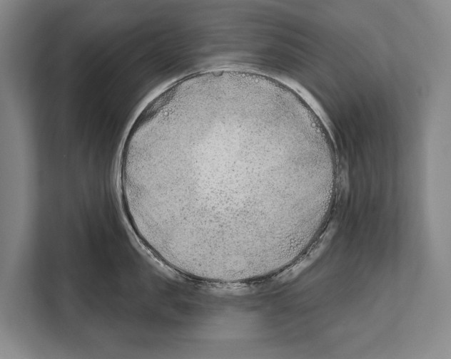 X0000112180957200909181431