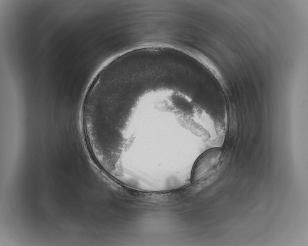 X0000112180958200909181431