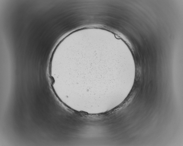 X0000112180959200909181431
