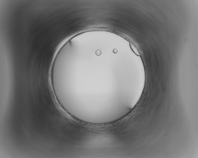 X0000112180960200909181431