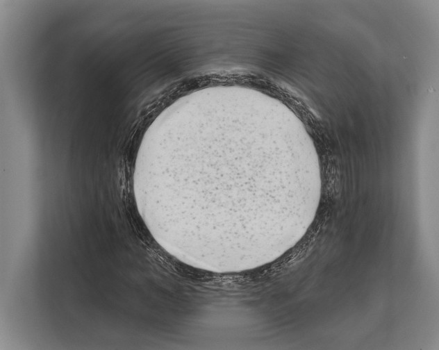 X0000112180966200909181430