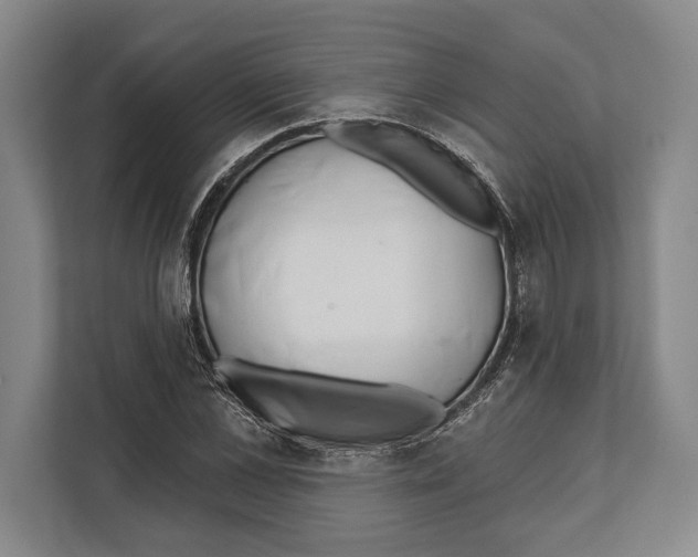 X0000112180973200909181430