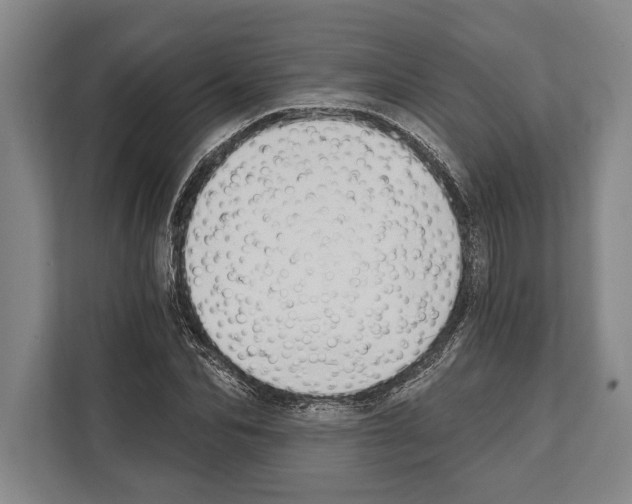 X0000112180974200909181430