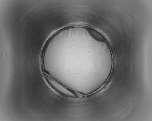 X0000112180989200909181430