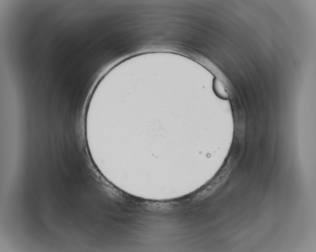 X0000112181004200909181430