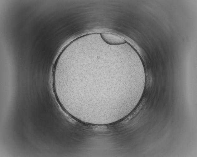 X0000112181006200909181430