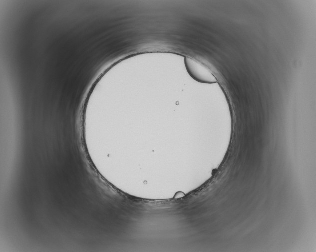 X0000112181008200909181430