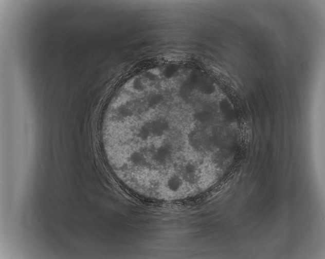 X0000112181009200909181429