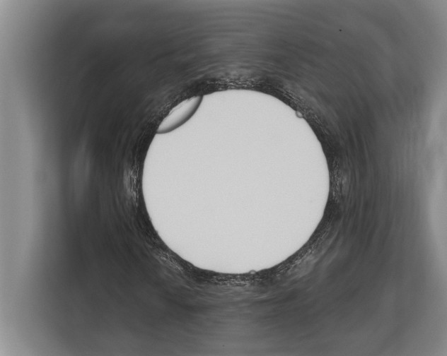 X0000112181010200909181429