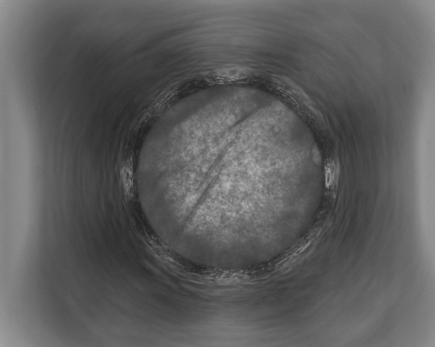 X0000112181011200909181429