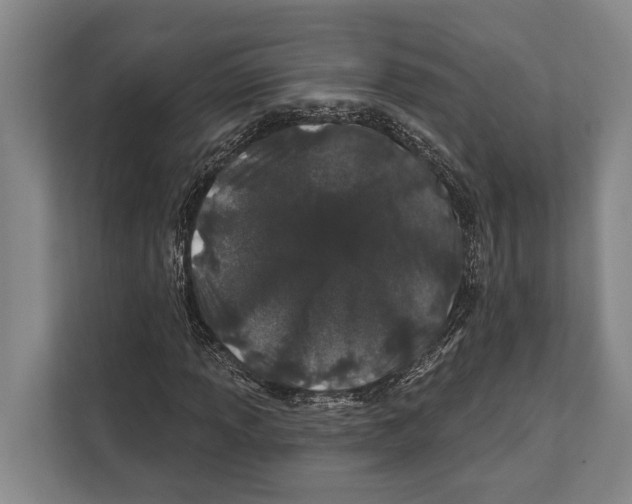 X0000112181013200909181429