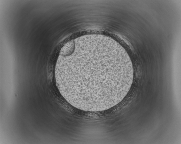 X0000112181015200909181429