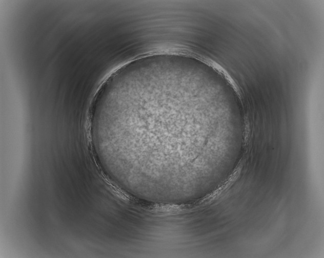 X0000112181019200909181429