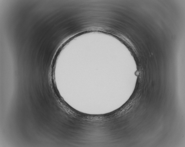 X0000112181020200909181429