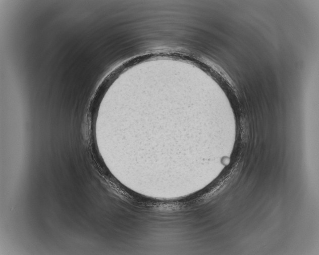 X0000112181021200909181429