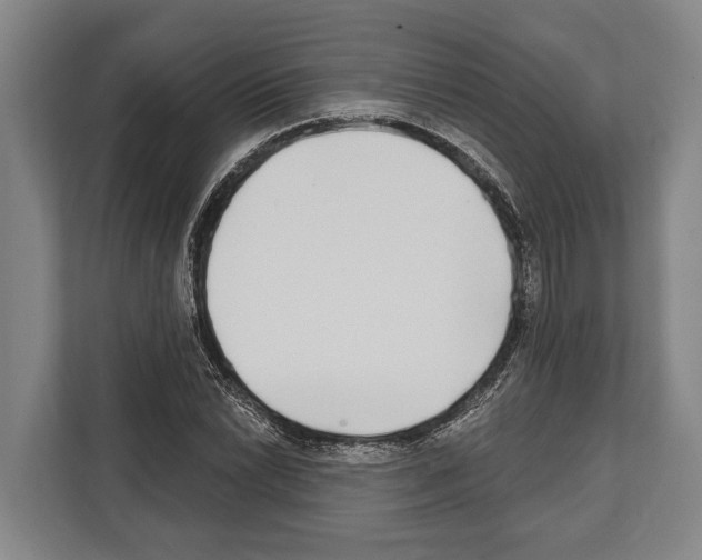 X0000112181022200909181429