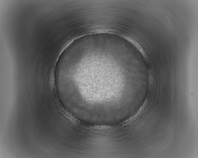 X0000112181023200909181429
