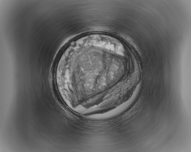 X0000112181024200909181429