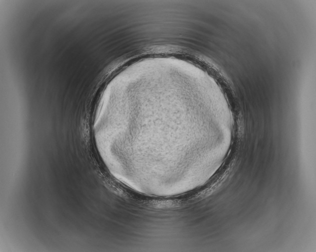 X0000112181025200909181429