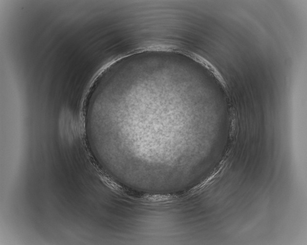 X0000112181027200909181429