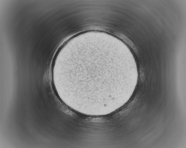 X0000112181028200909181429