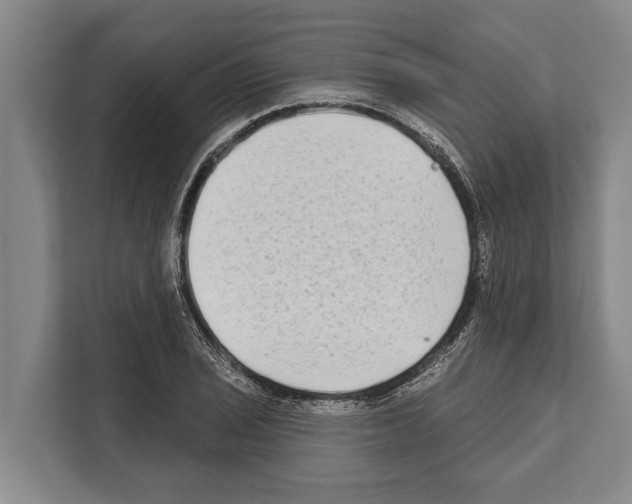 X0000112181029200909181429