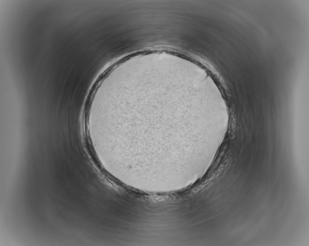 X0000112181032200909181429