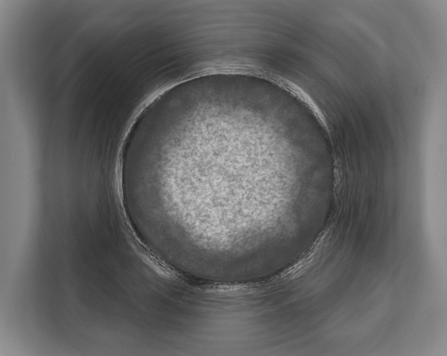 X0000112181035200909181429