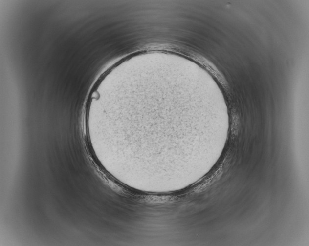 X0000112181036200909181429