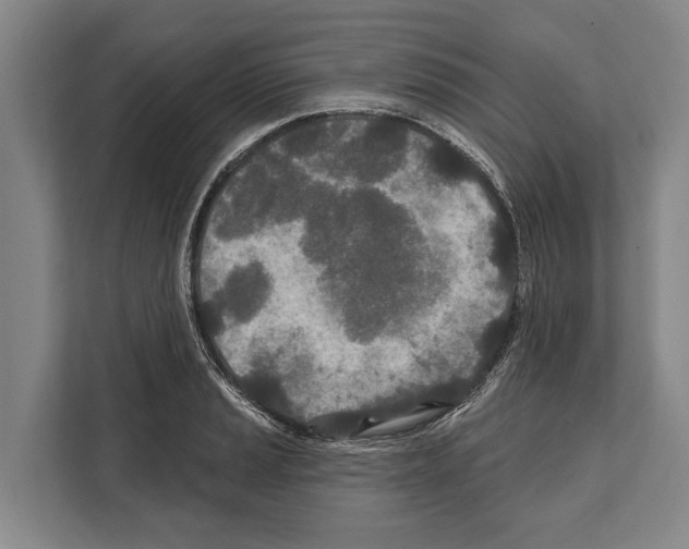 X0000112181037200909181429