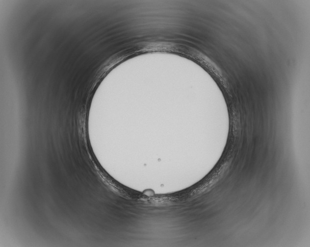 X0000112181041200909181429