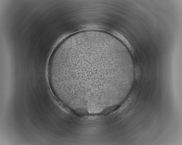 X0000112181043200909181429