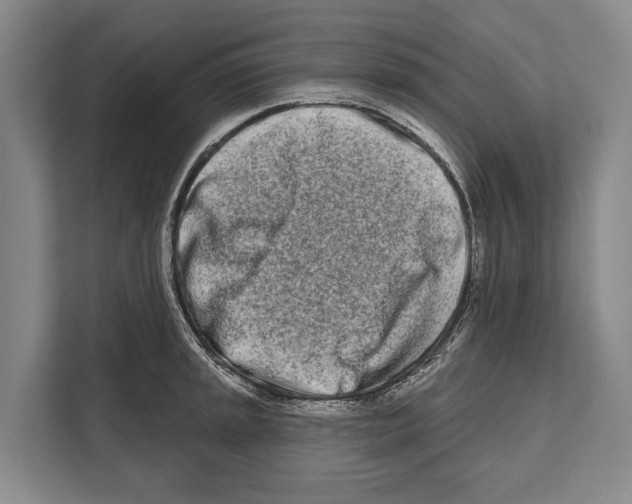 X0000112181045200909181429
