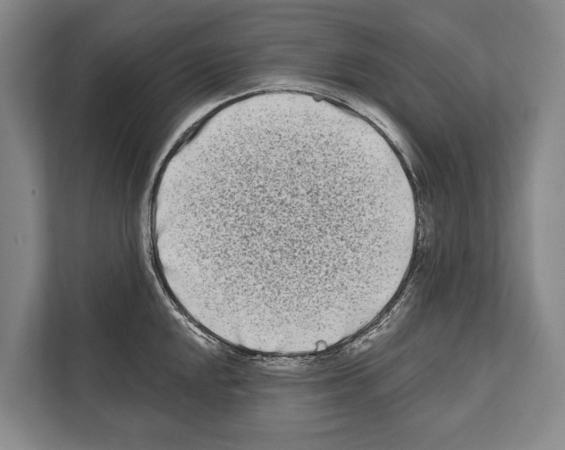 X0000112181048200909181430
