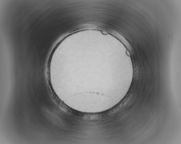 X0000112181051200909181430
