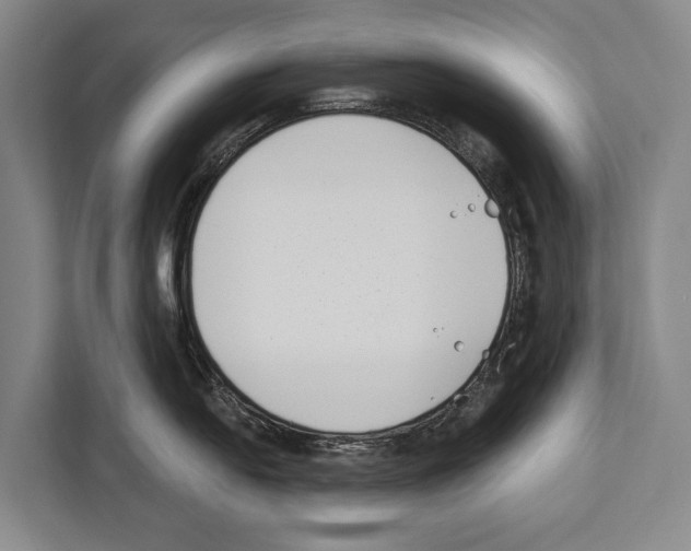 X0000112181054200909181430