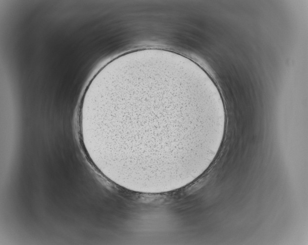 X0000112181056200909181430